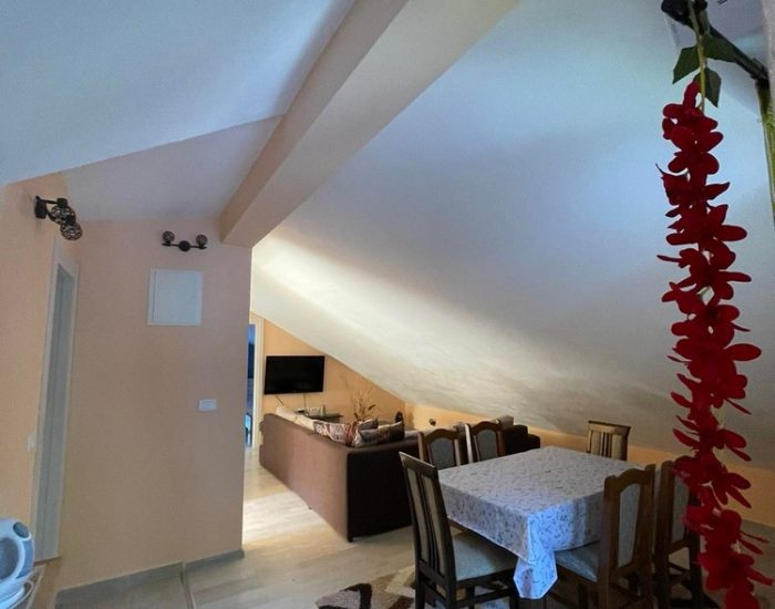 Apartmani Simic Kamenari