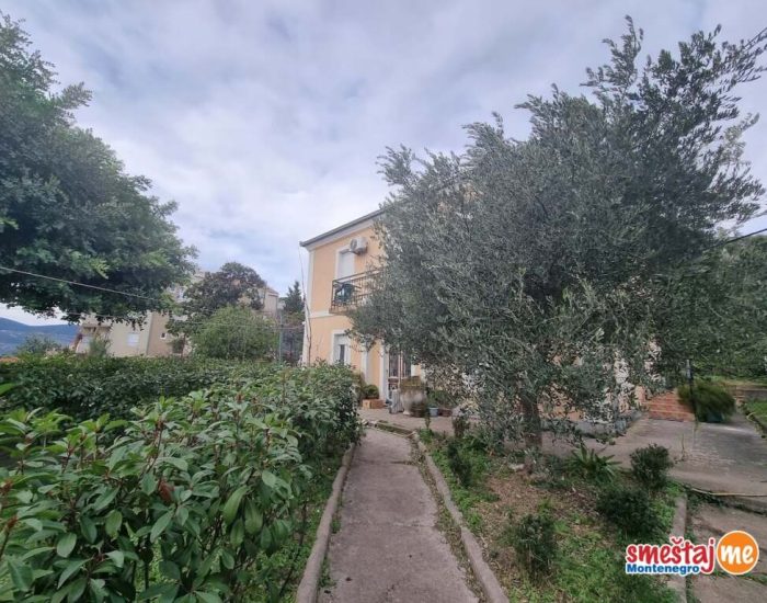 Dvorise očd house