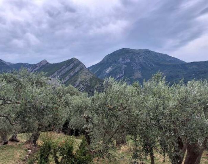 Apartmani Stari Bar