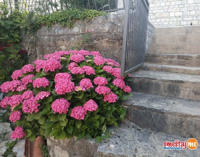 smestaj-Zelenika-apartmani11