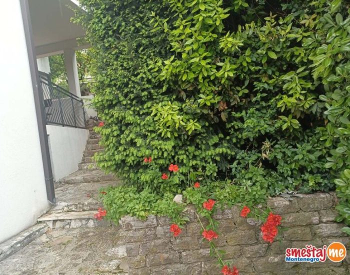 smestaj-Zelenika-apartmani12